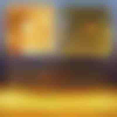 Εορταστικό πλέγμα φωτισμού LED | LUMONET