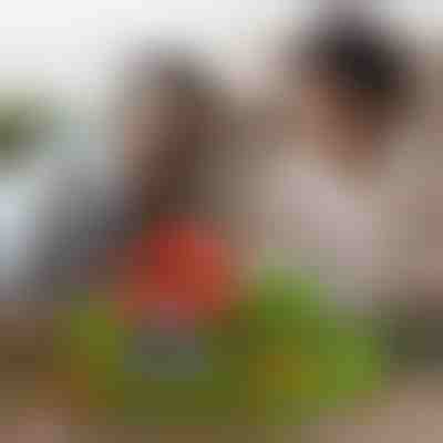 Μαγνητικοί minicraft κύβοι (48 τμχ) | MAGCRAFTI